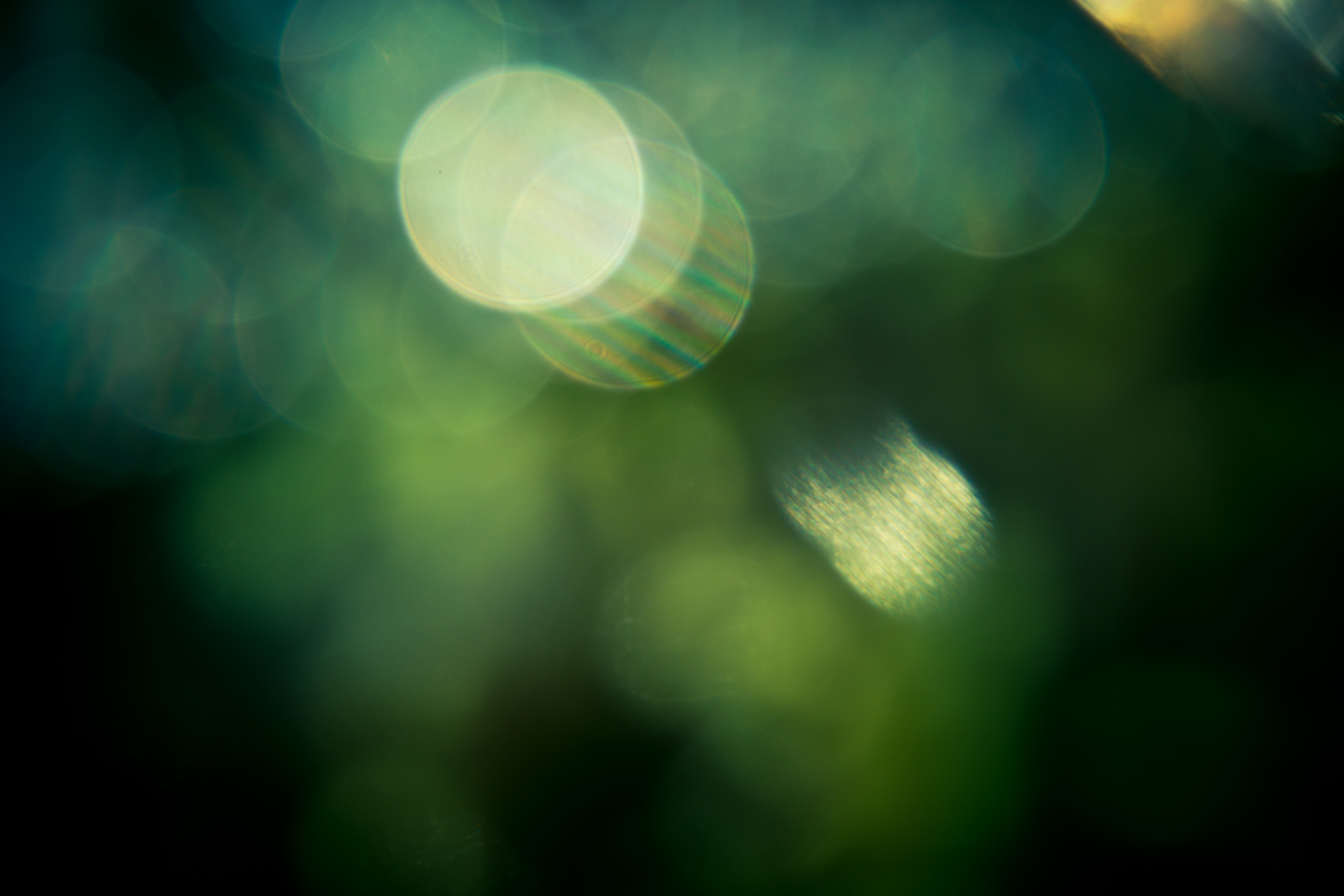 Dark Green Bokeh Background